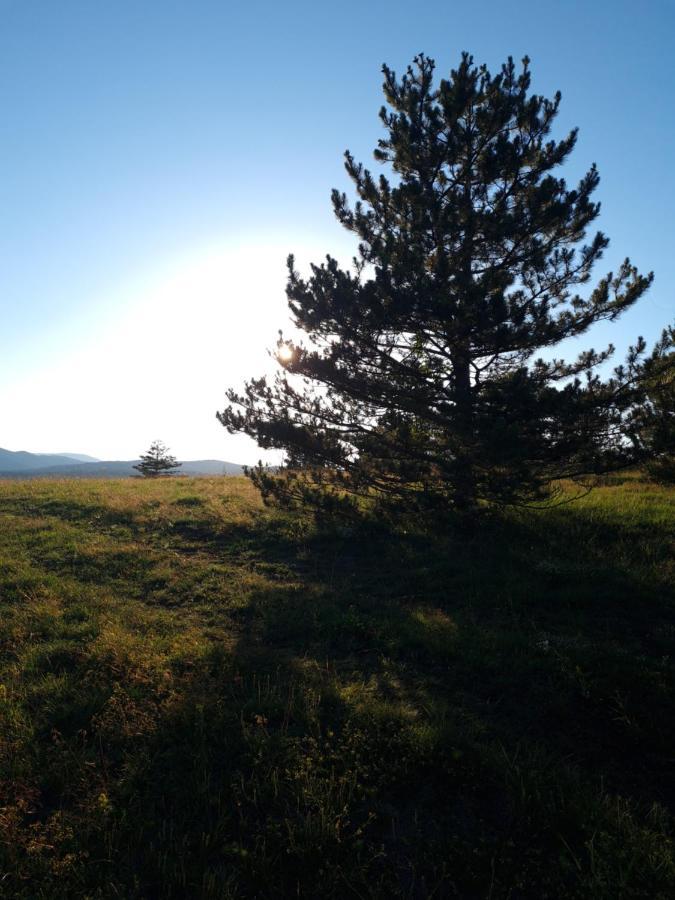 Juga Kremna